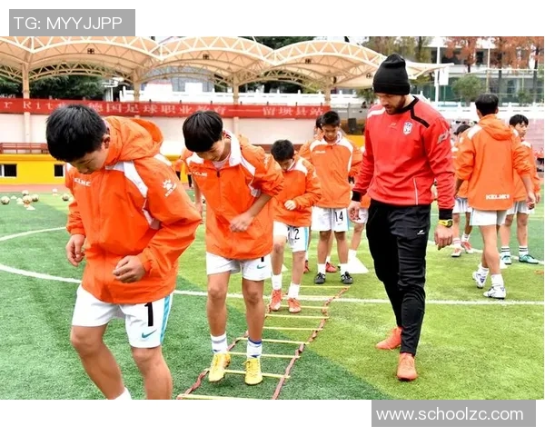 赵强独家分享足球心得与技巧助你提升球技与战术理解