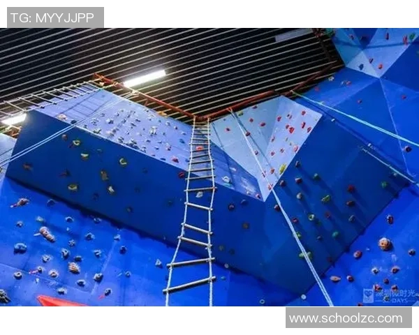 成都攀岩队在极限运动会中的比赛表现与经验总结分析 成都攀岩队在极限运动会中的比赛表现与经验总结分析