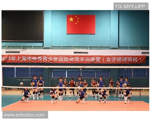 全国锦标赛回顾：上海排球队展现速度优势与战术灵活性